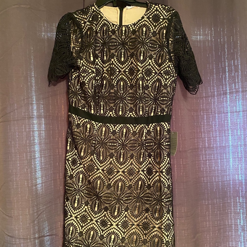 Black lace dress with nude slip. Brand new.